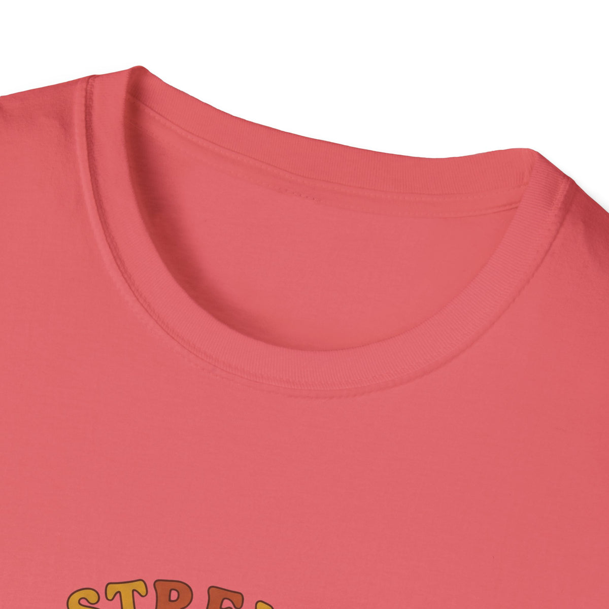 Clothed in strength and dignity T-shirts (2)