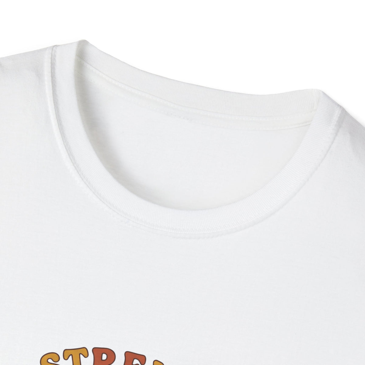 Clothed in strength and dignity T-shirts (2)