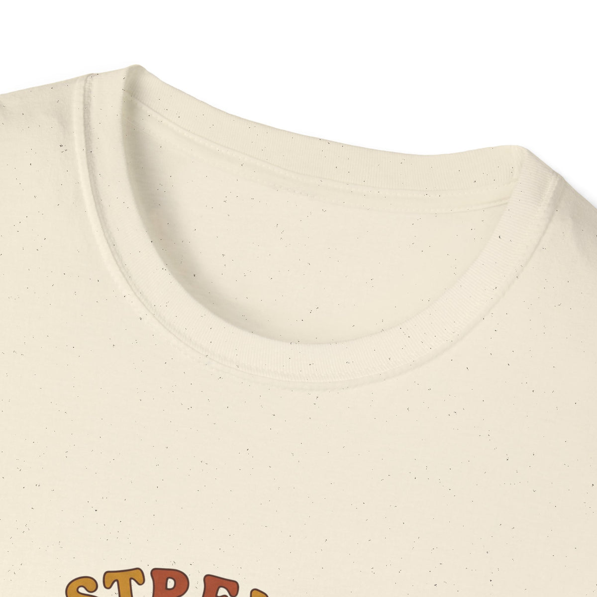 Clothed in strength and dignity T-shirts (2)