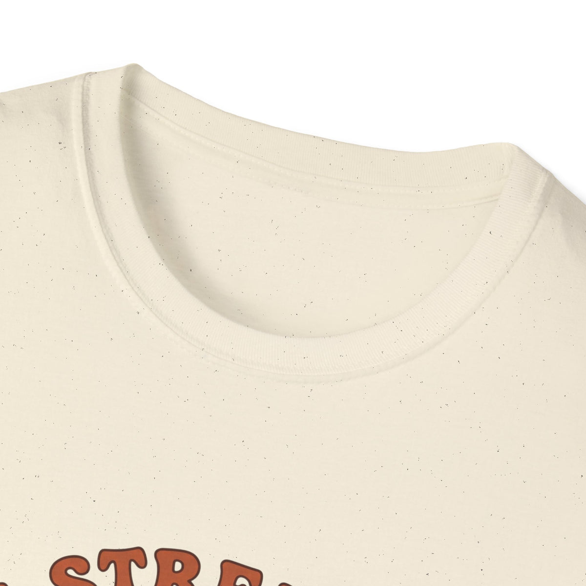 Clothed in strength and dignity T-shirts