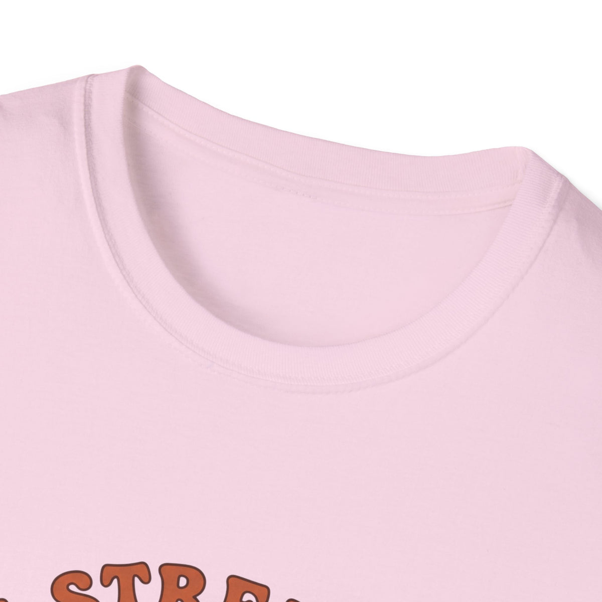 Clothed in strength and dignity T-shirts