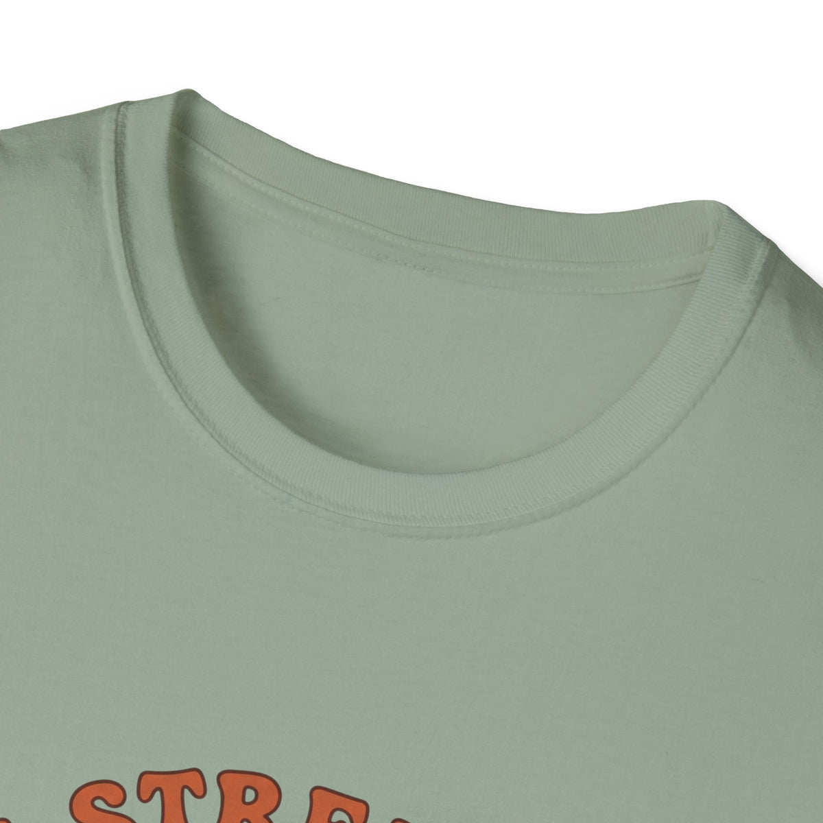 Clothed in strength and dignity T-shirts