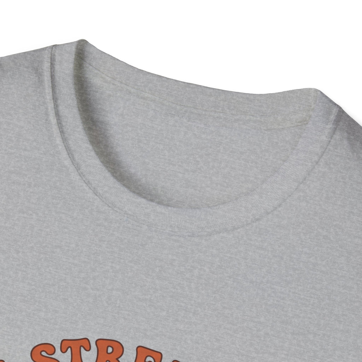 Clothed in strength and dignity T-shirts