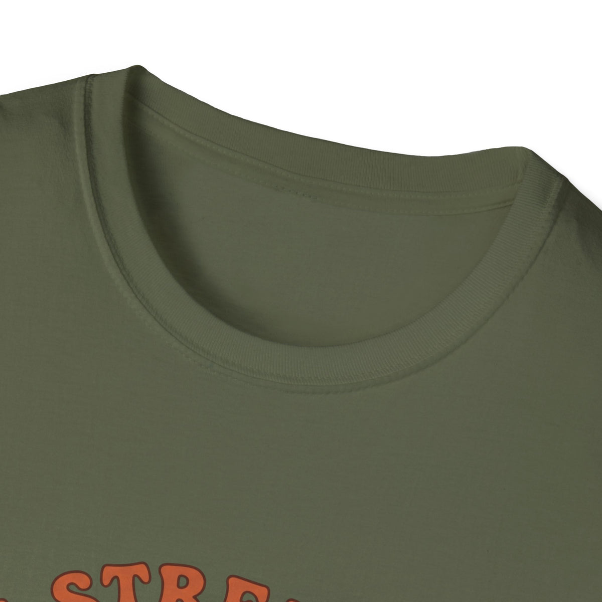 Clothed in strength and dignity T-shirts
