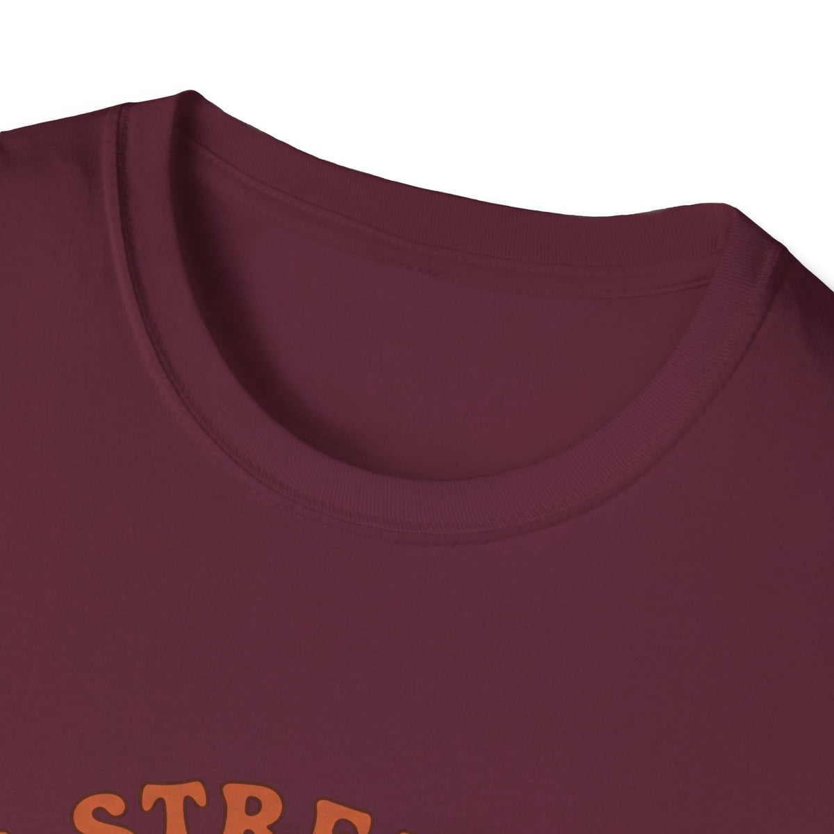 Clothed in strength and dignity T-shirts
