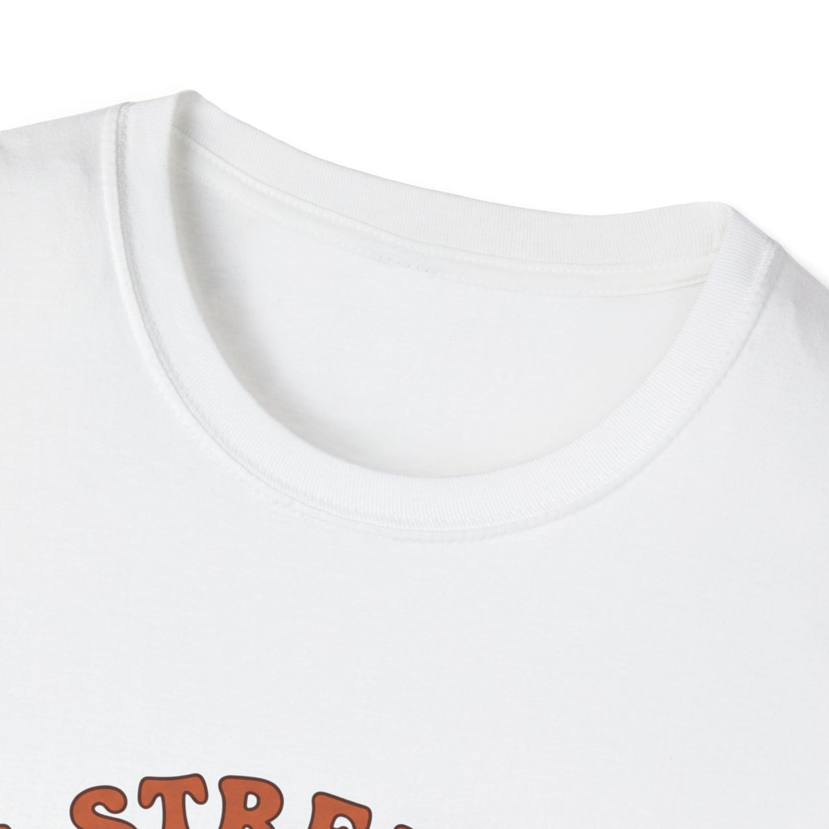 Clothed in strength and dignity T-shirts
