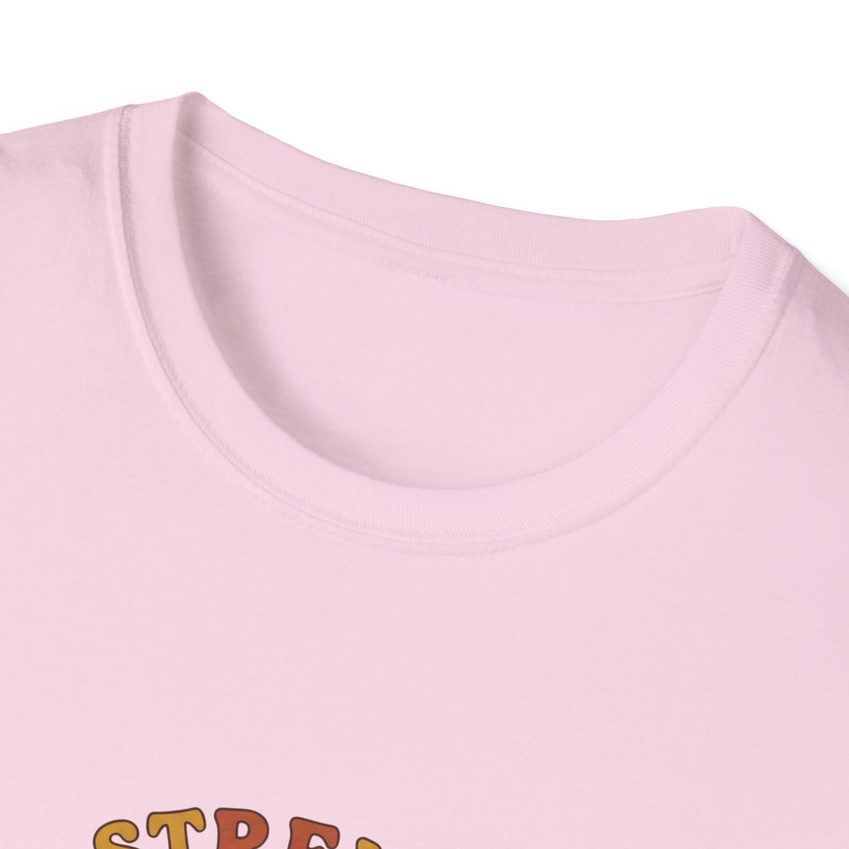 Clothed in strength and dignity T-shirts (2)