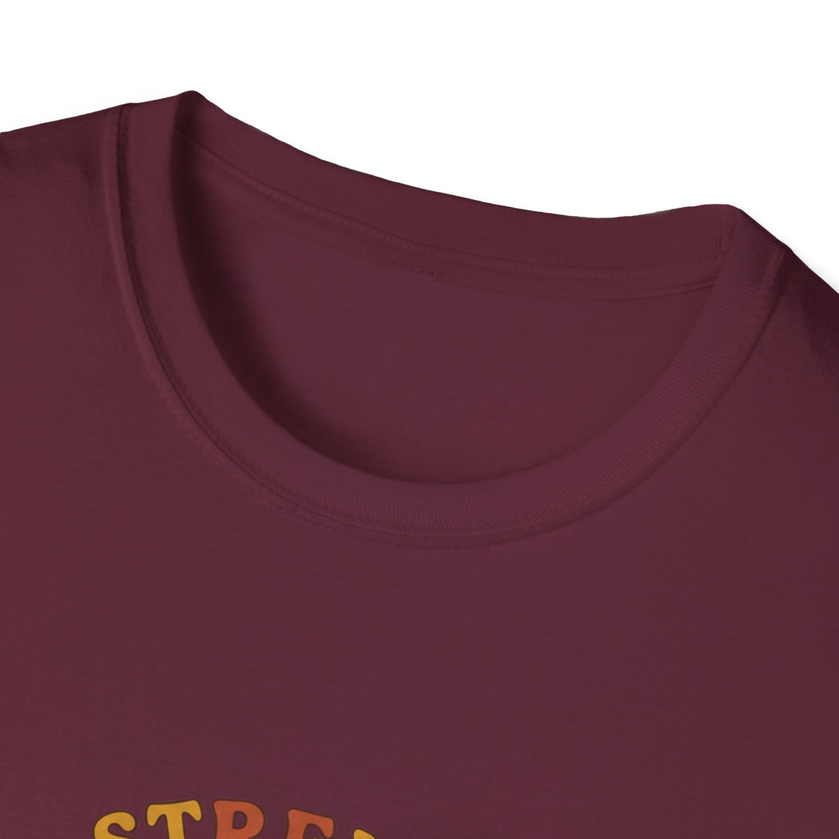 Clothed in strength and dignity T-shirts (2)