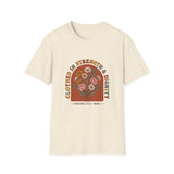 Clothed in strength and dignity T-shirts (2)