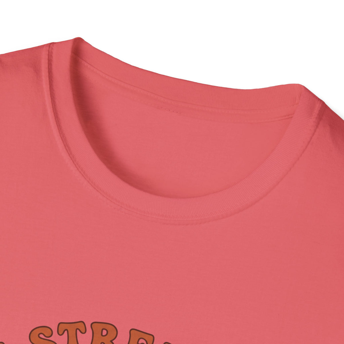 Clothed in strength and dignity T-shirts