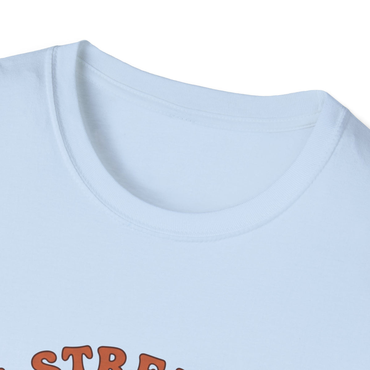 Clothed in strength and dignity T-shirts