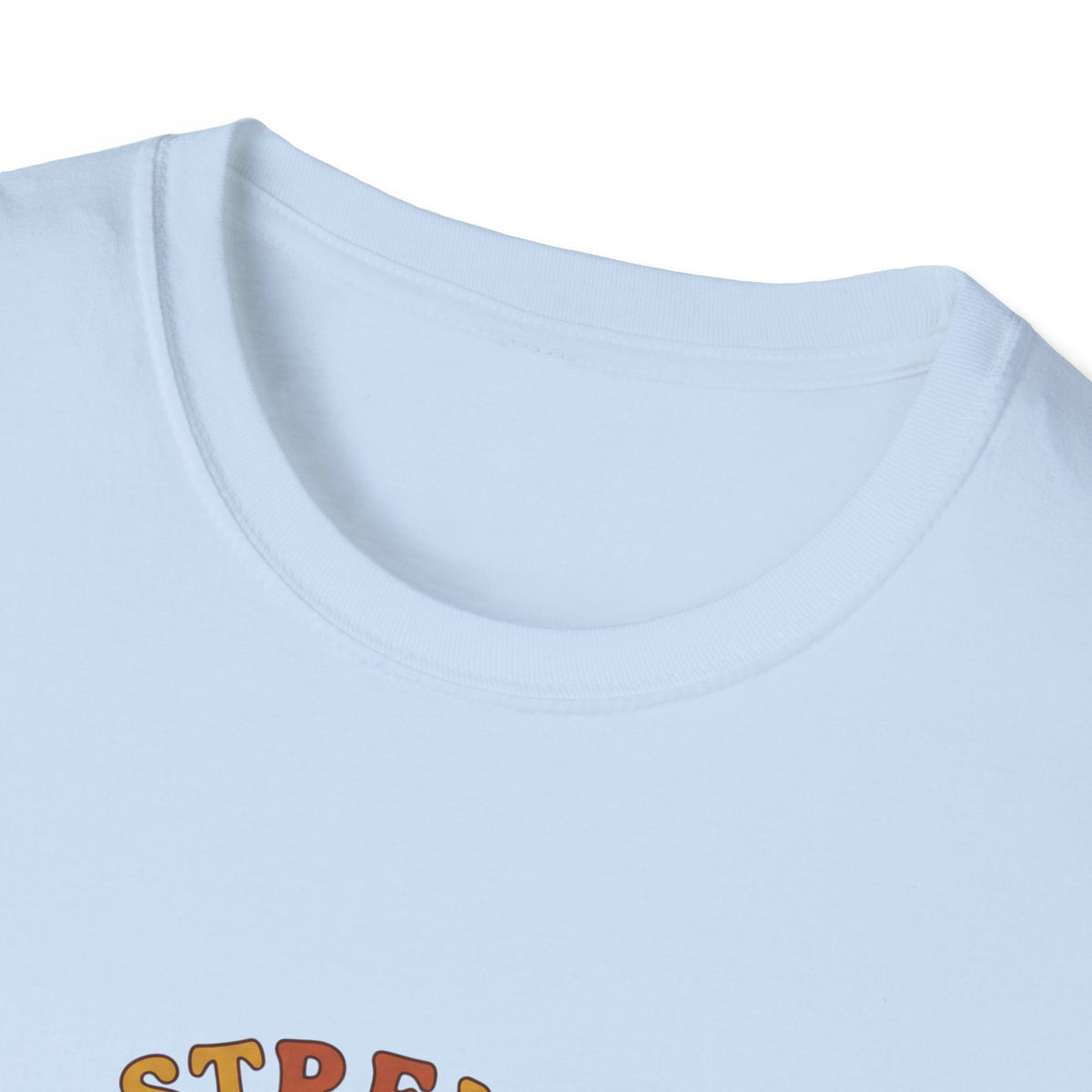 Clothed in strength and dignity T-shirts (2)
