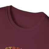Clothed in strength and dignity T-shirts (2)